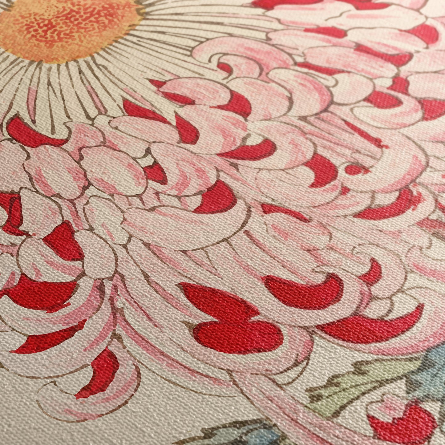 Chrysanthème Japonais planche 16 - Toile encadrée - Collection Hasegawa - 1893