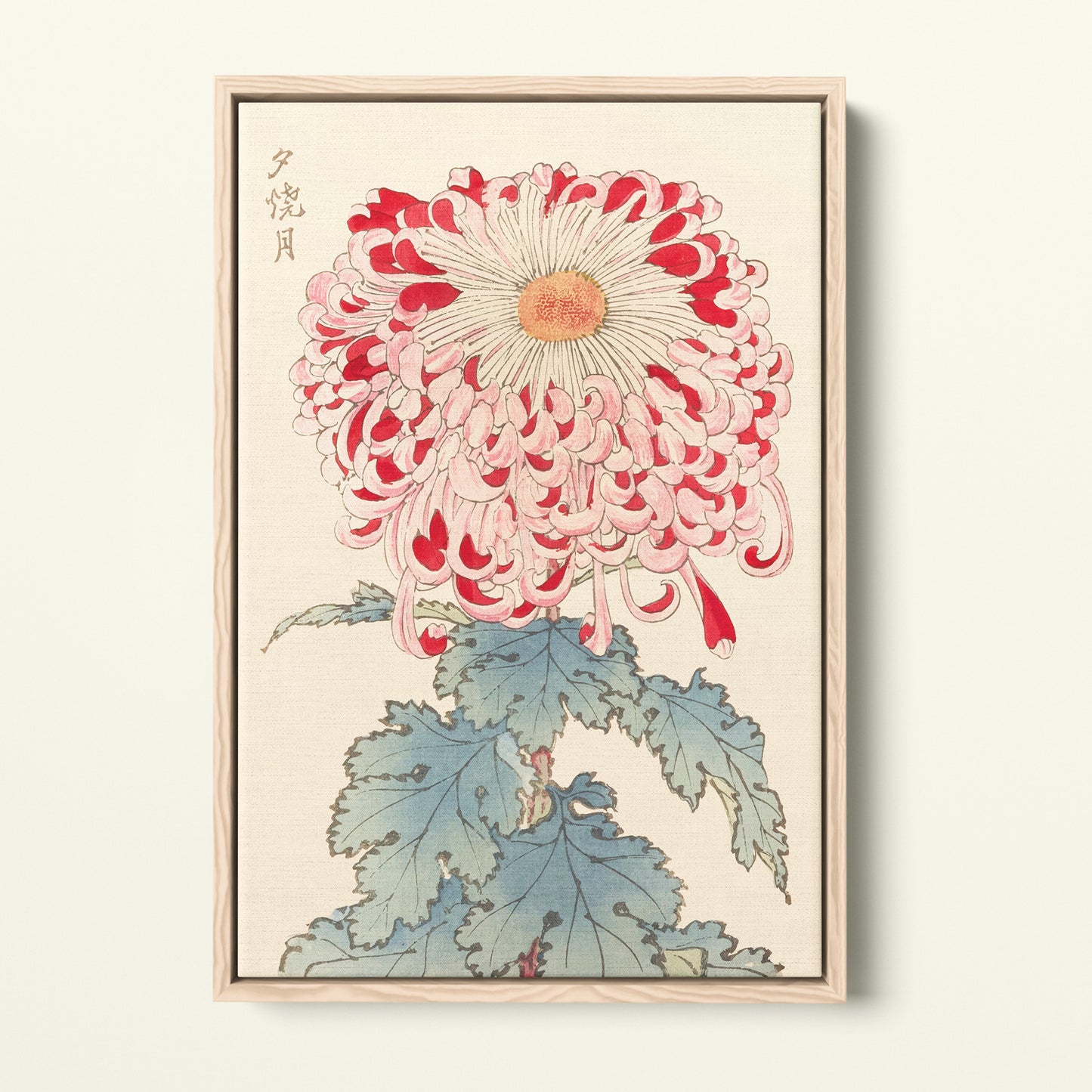 Chrysanthème Japonais planche 16 - Toile encadrée - Collection Hasegawa - 1893