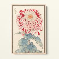 Chrysanthème Japonais - 1893 - Hasegawa | Art encadré flottant sur toile premium