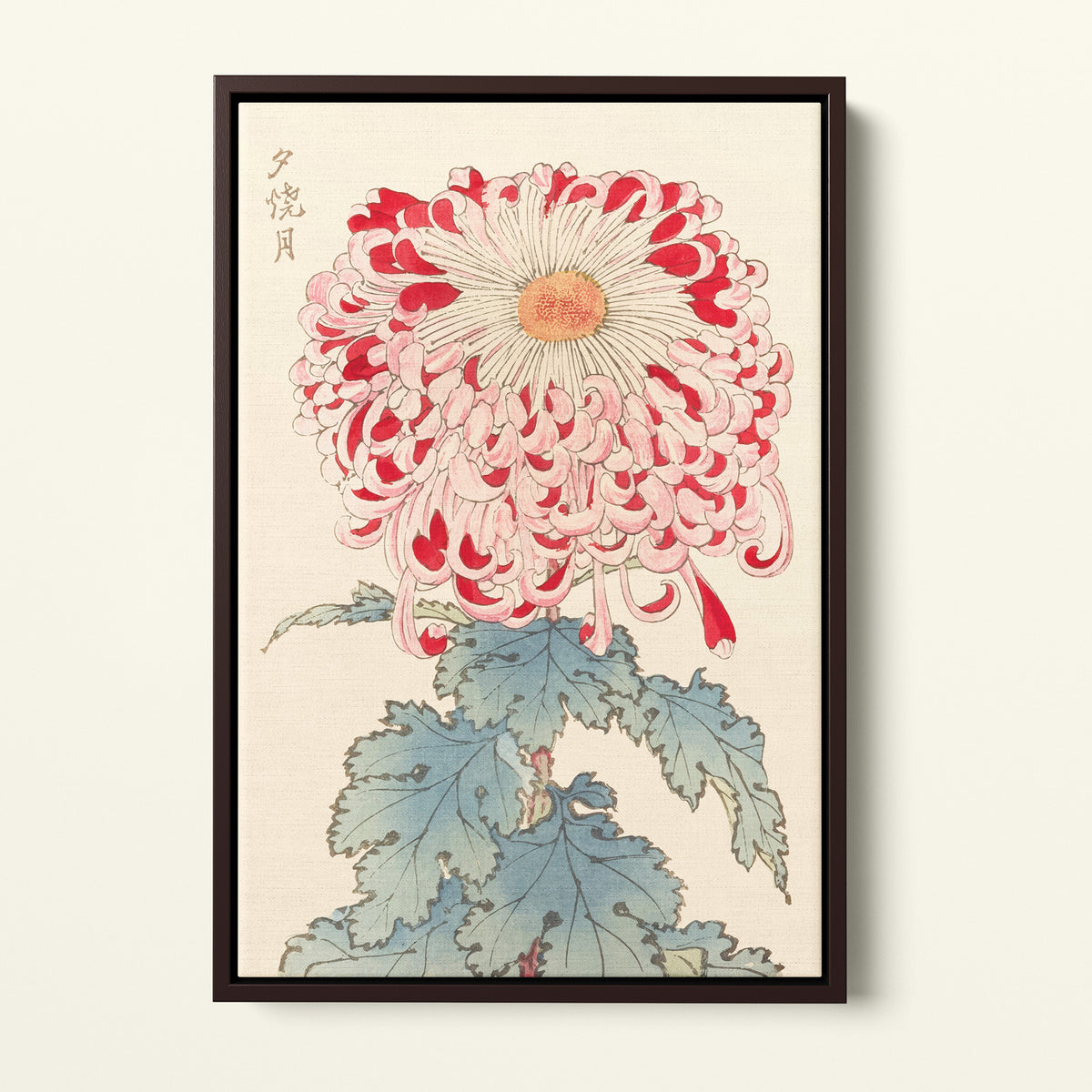 Chrysanthème Japonais - 1893 - Hasegawa | Art encadré flottant sur toile premium