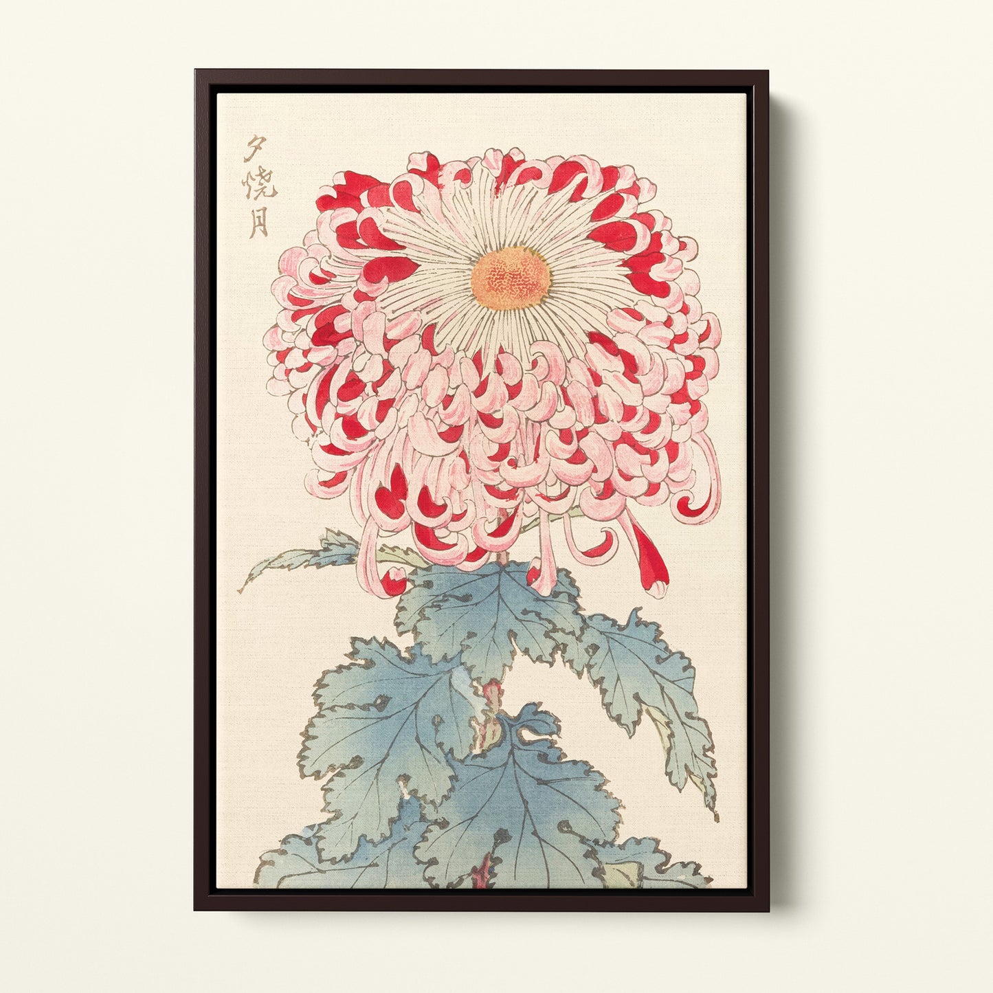 Chrysanthème Japonais planche 16 - Toile encadrée - Collection Hasegawa - 1893