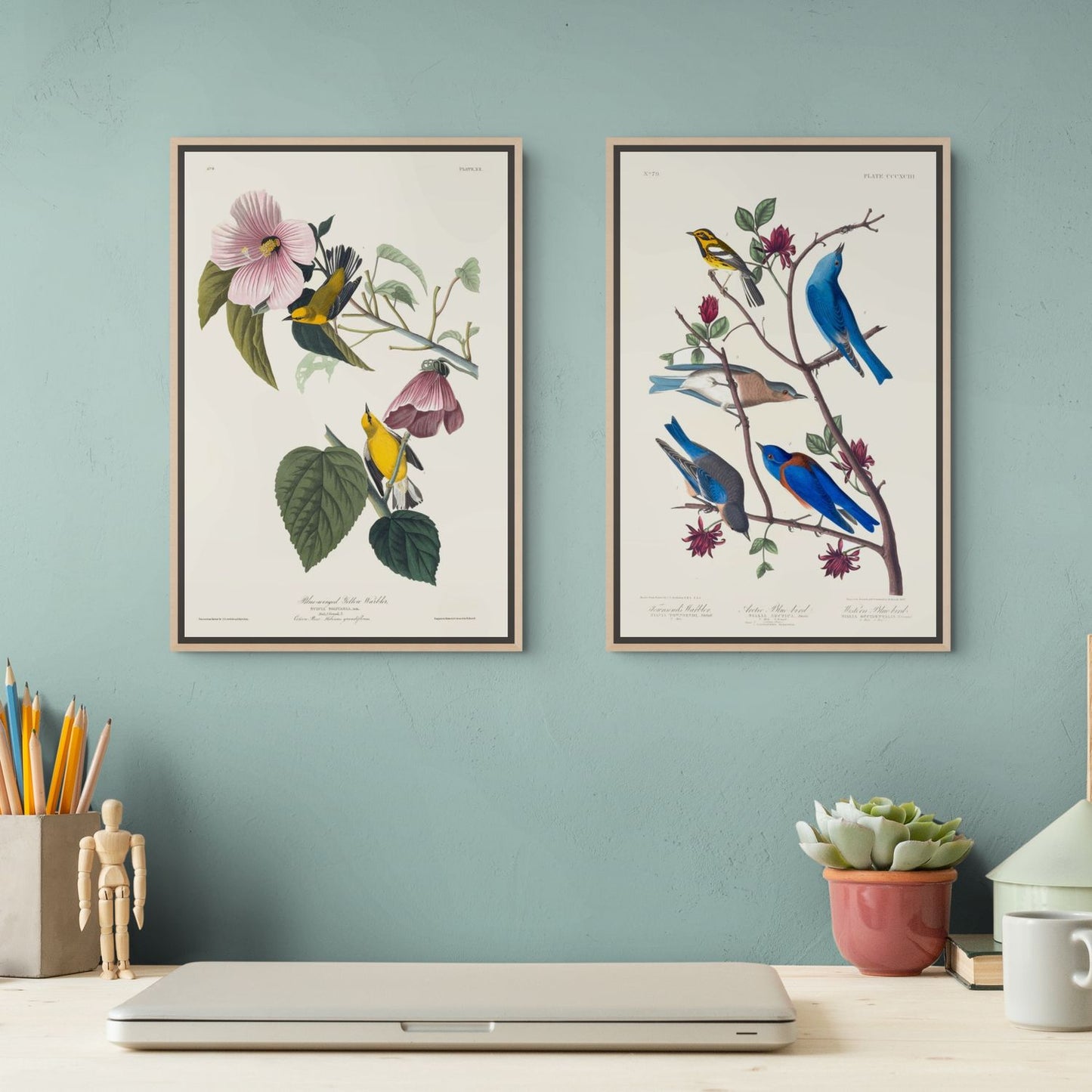  J.J. Audubon, Paruline et Merle bleu, Birds of America, 1827 — Déco bureau deux toiles