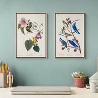  J.J. Audubon, Paruline et Merle bleu, Birds of America, 1827 — Déco bureau deux toiles