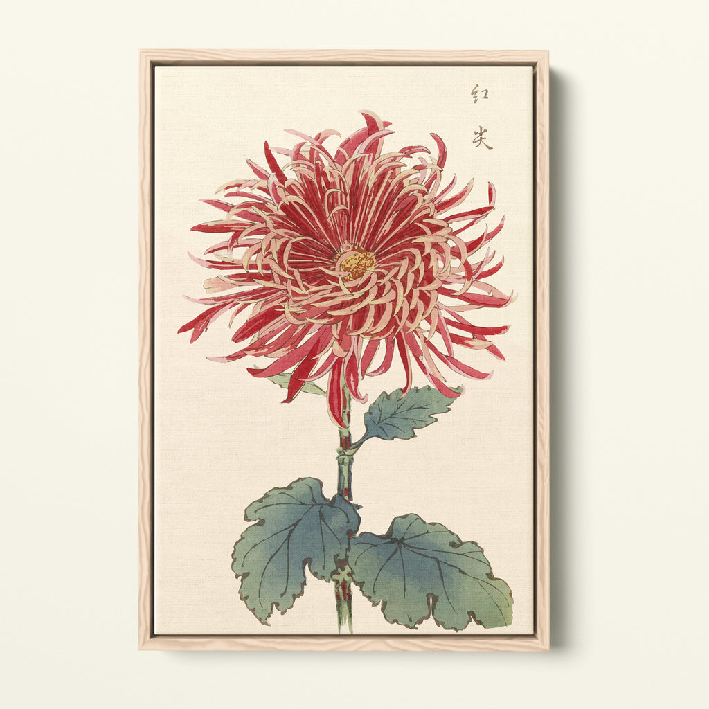 Botanical 27 - 1893 - Hasegawa | Art encadré flottant sur toile premium