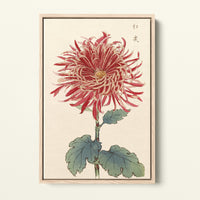 Botanical 27 - 1893 - Hasegawa | Art encadré flottant sur toile premium