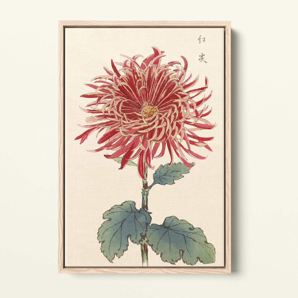 Botanical 27 - 1893 - Hasegawa | Art encadré flottant sur toile premium