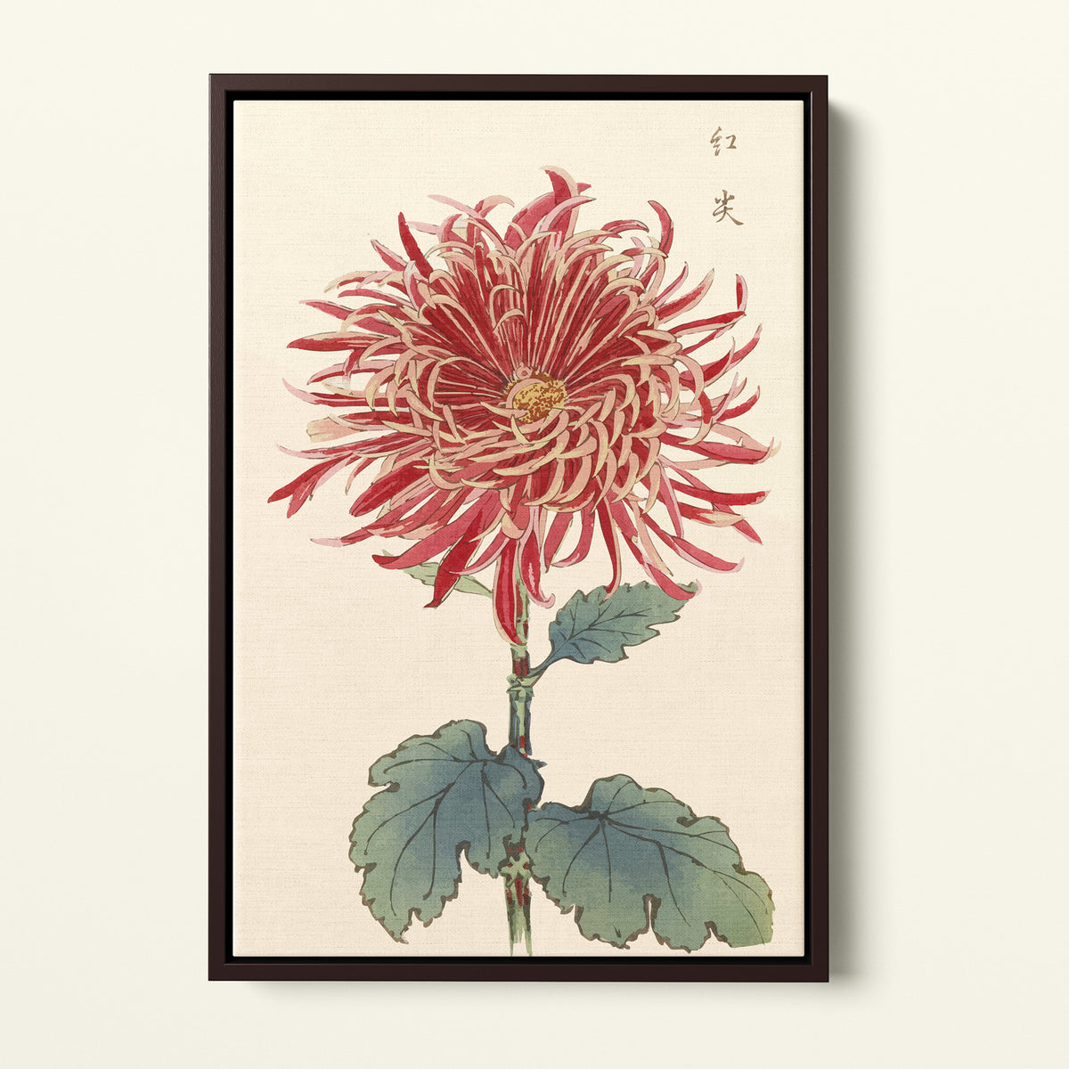 Botanical 27 - 1893 - Hasegawa | Art encadré flottant sur toile premium